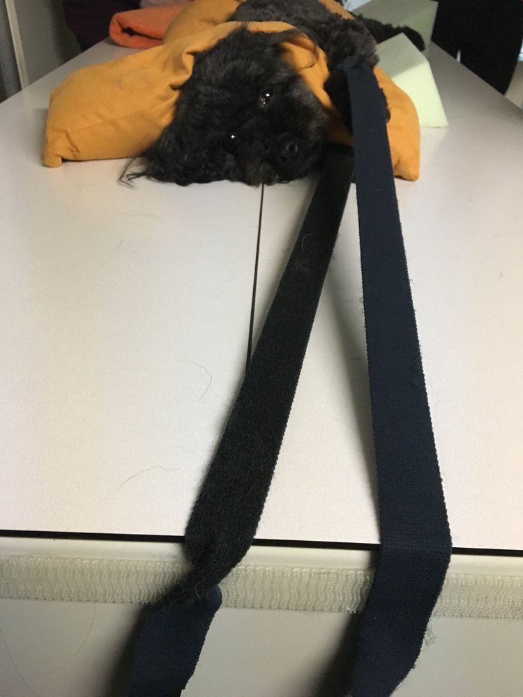 X-Ray-Table Lining-2.jpg